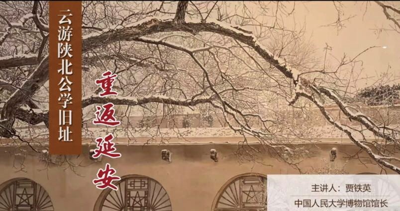 日本成人动画
